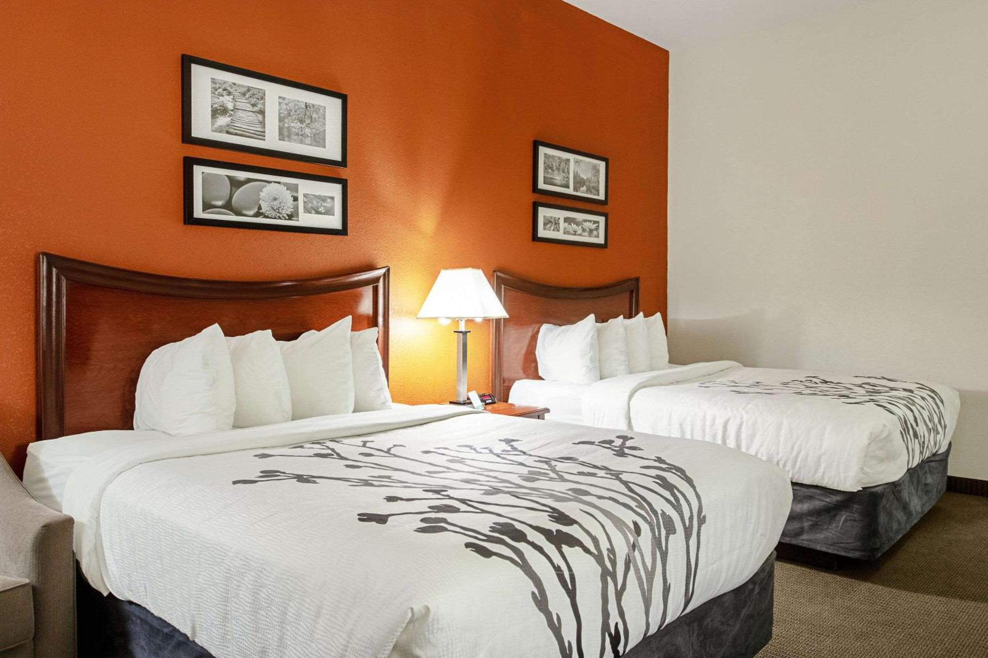 Queen Room Two Queen Beds Non-Smoking