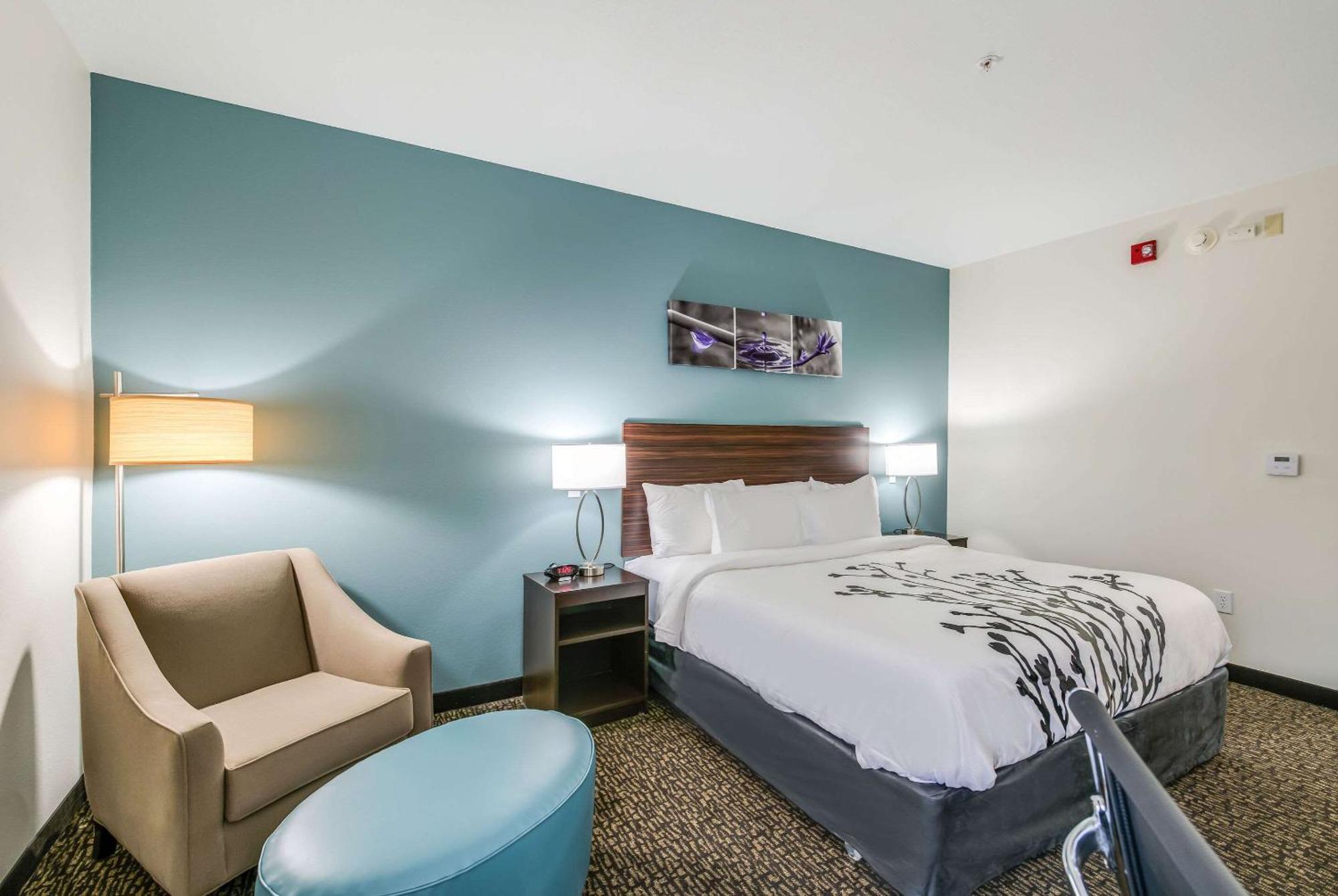 King Room Accessible or Non Smoking