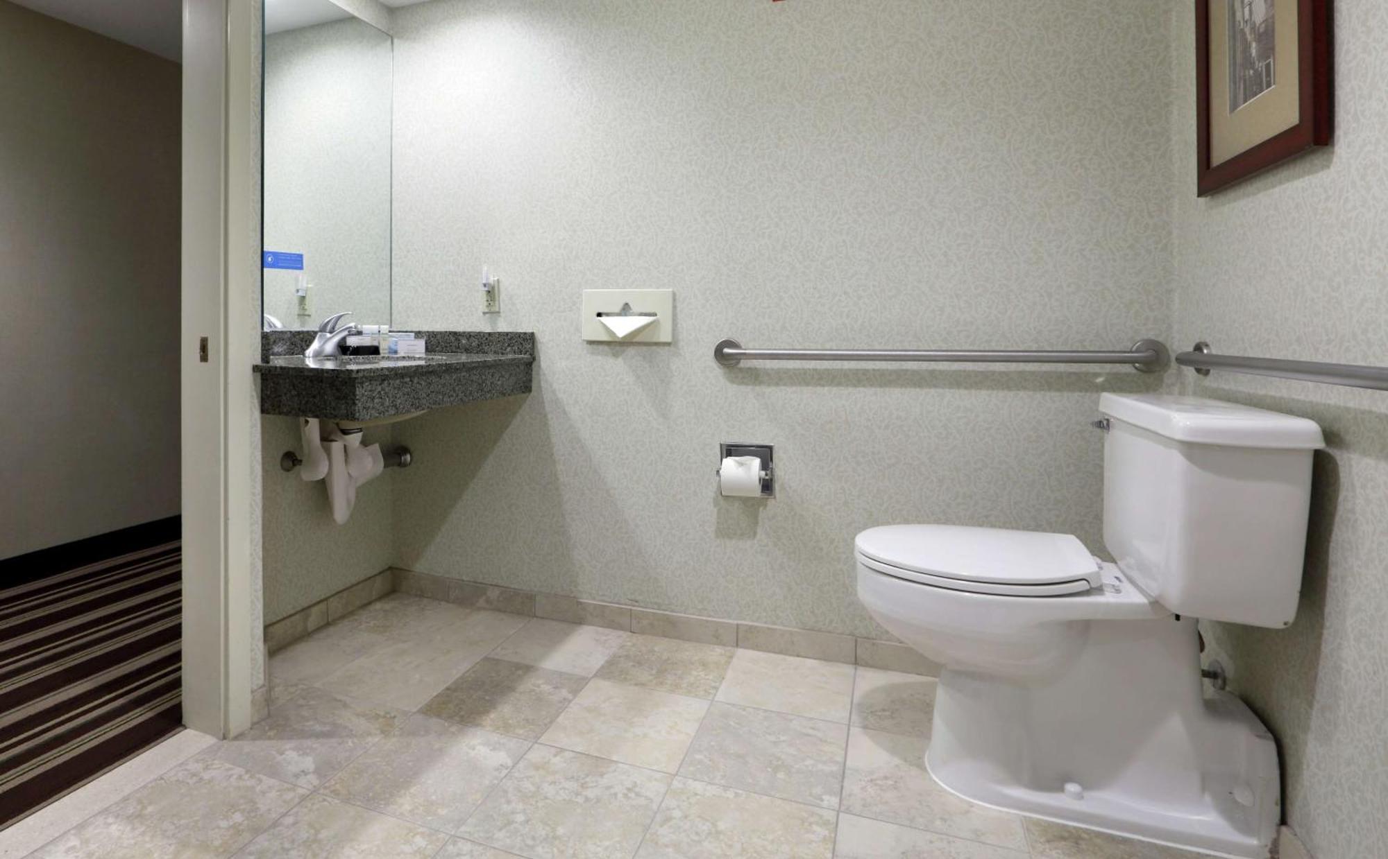 Full Room with Roll-In Shower and Sofa Bed - Mobility Access