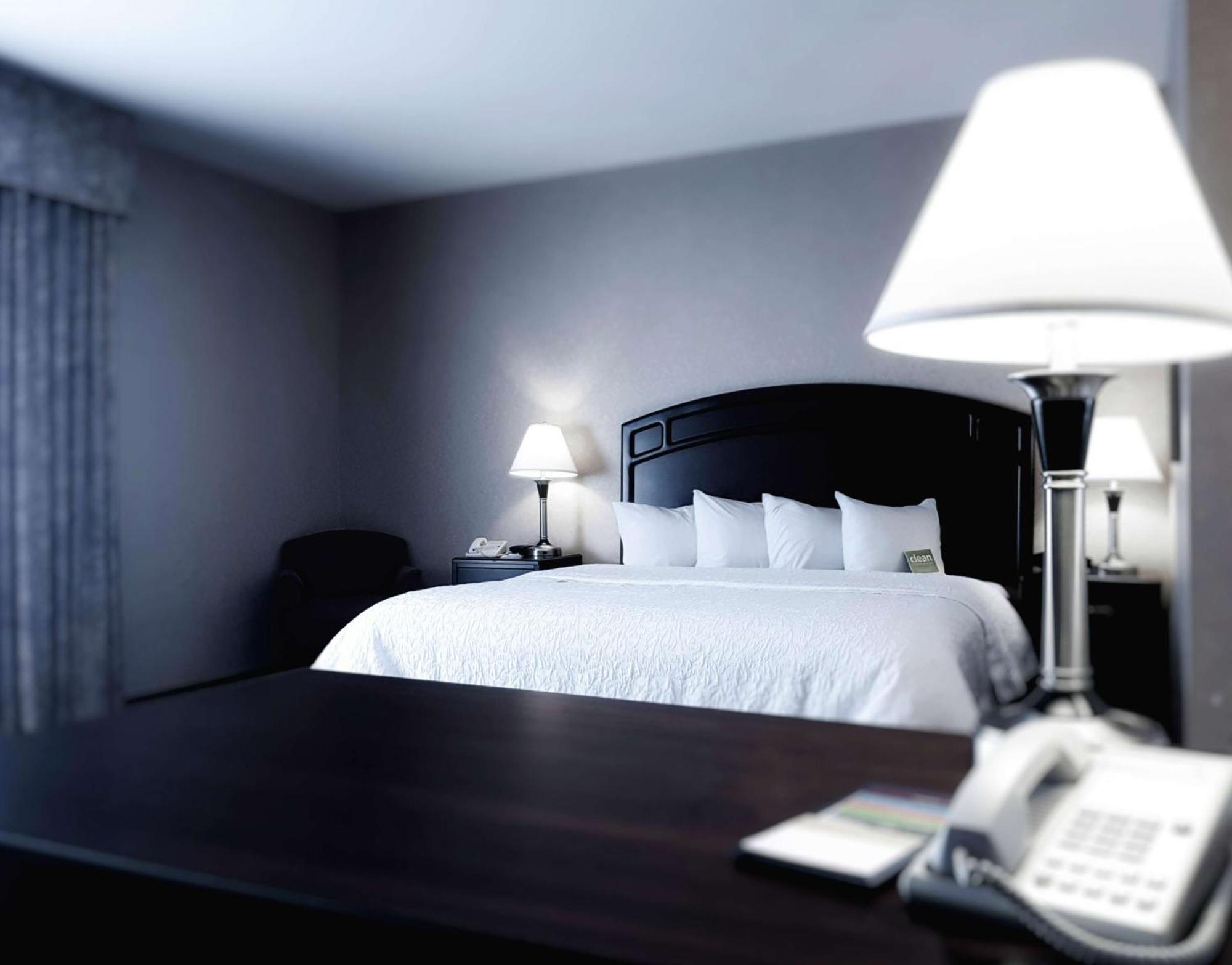 King Suite with Sofa Bed - Non-Smoking