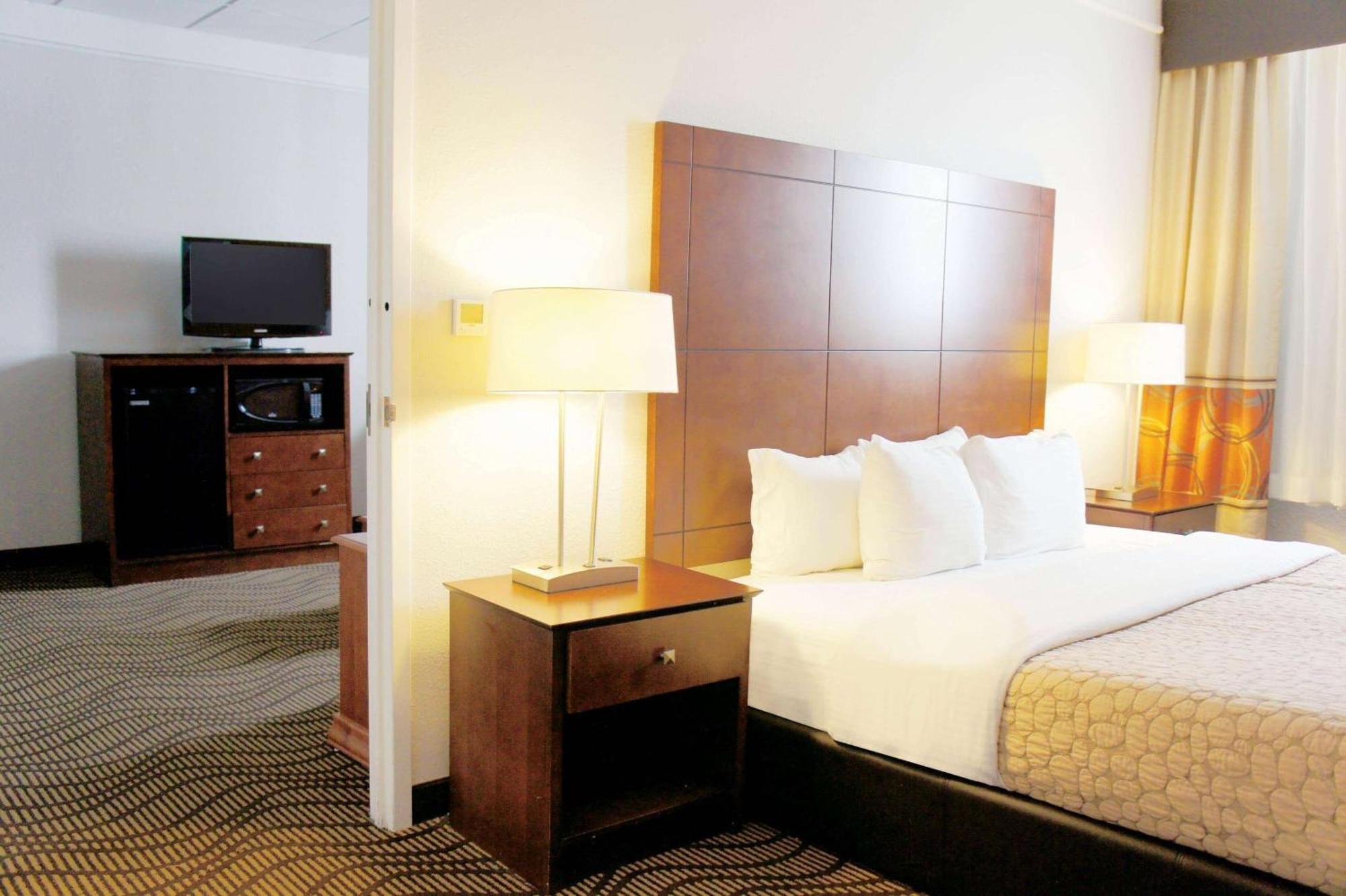 1 King Bed 2 Queen Beds Studio Suite Non-Smoking