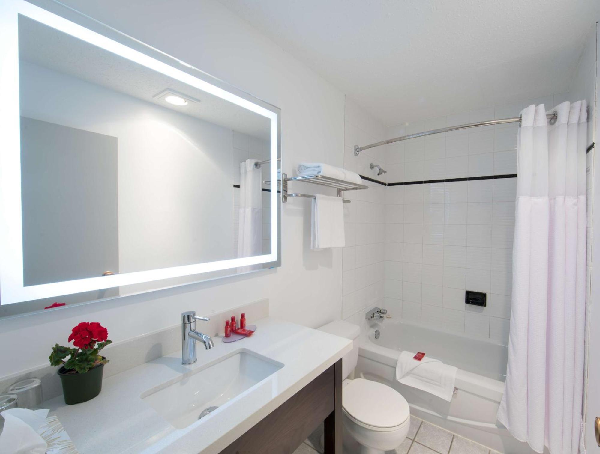 Queen Room Two Queen Beds Work Desk Second Floor or No Pets Allowed or Non-Smoking