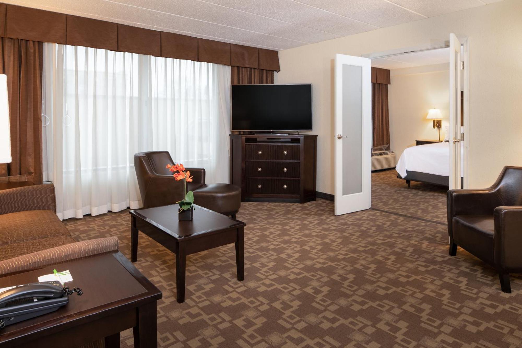 One-Bedroom Suite with Sofa Bed and Accessible Roll-In Shower