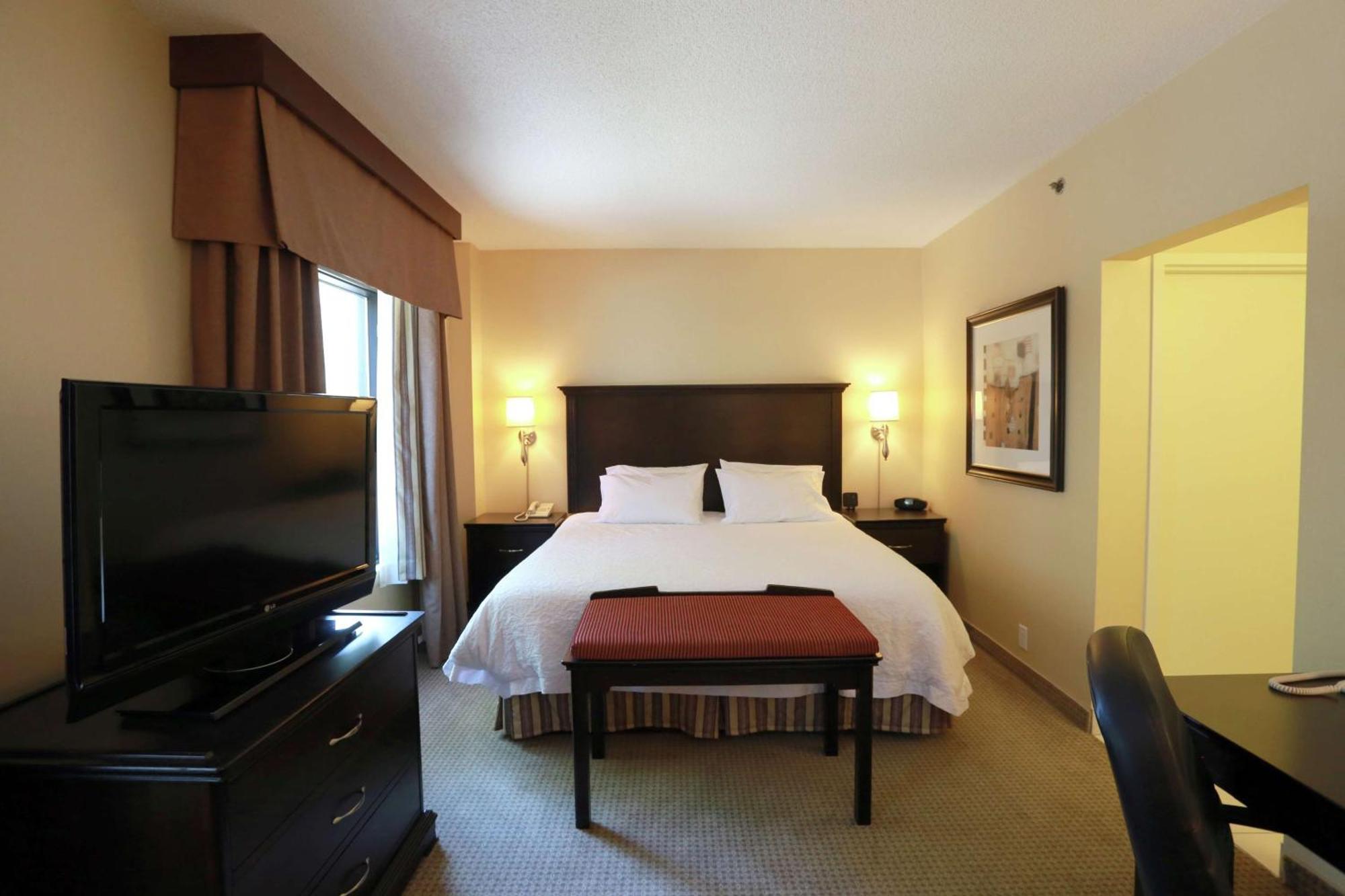 King Studio Suite with Sofa Bed - Non-Smoking