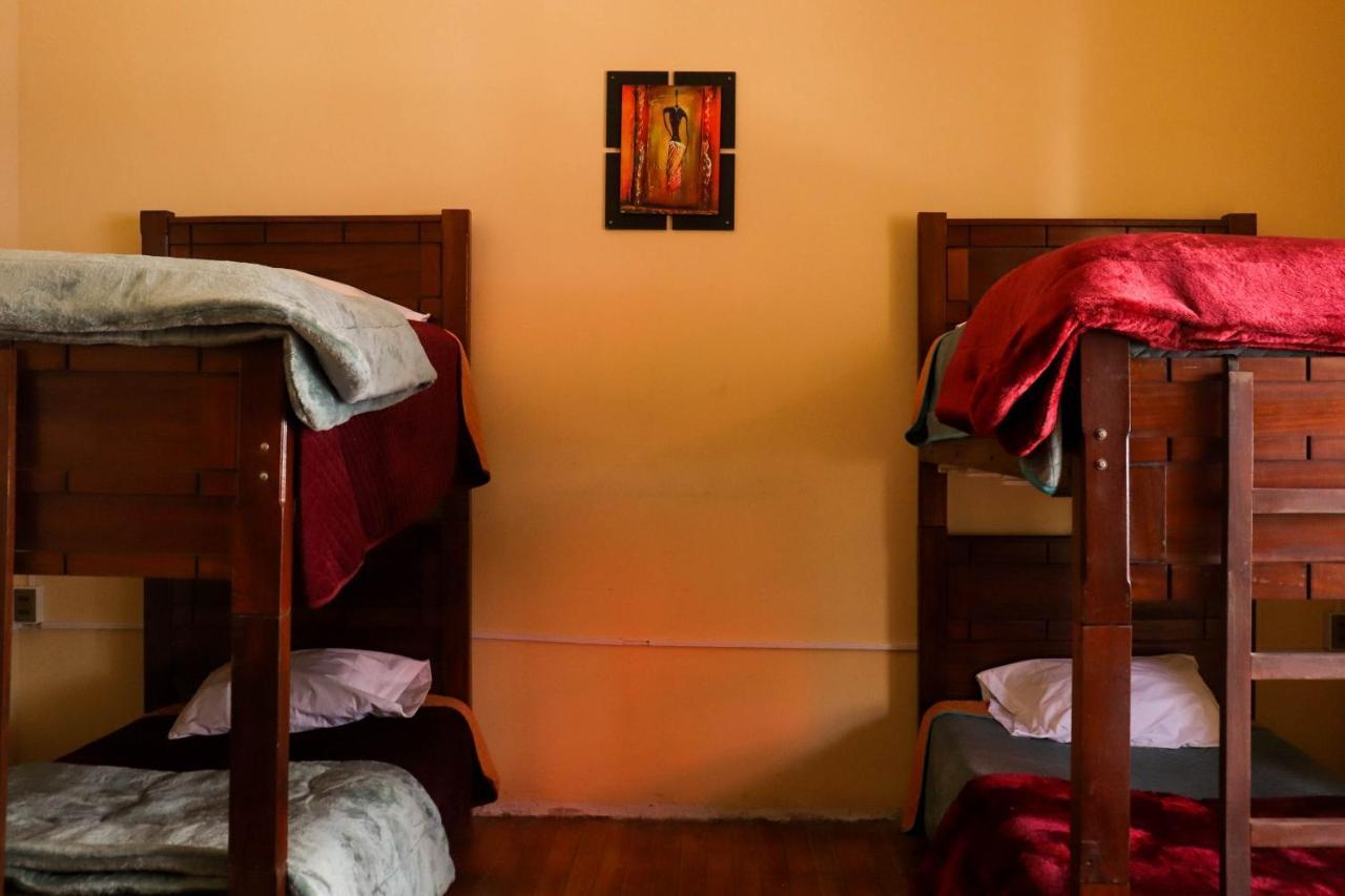 Bed in 8-Bed Dormitory Room