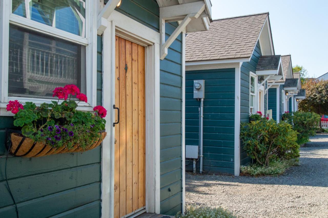 Cottage Garden View Dog Friendly C4