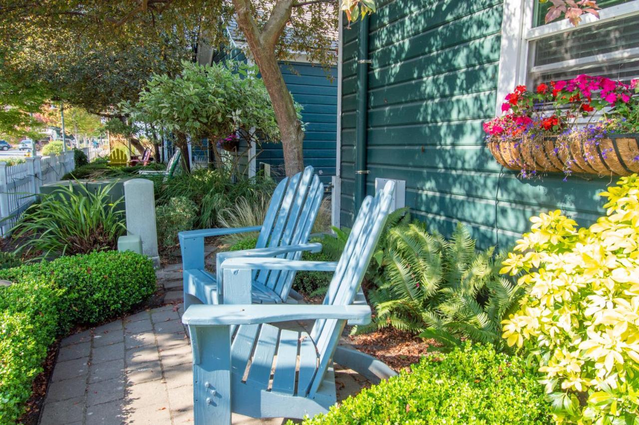 Cottage Garden View Dog Friendly C4