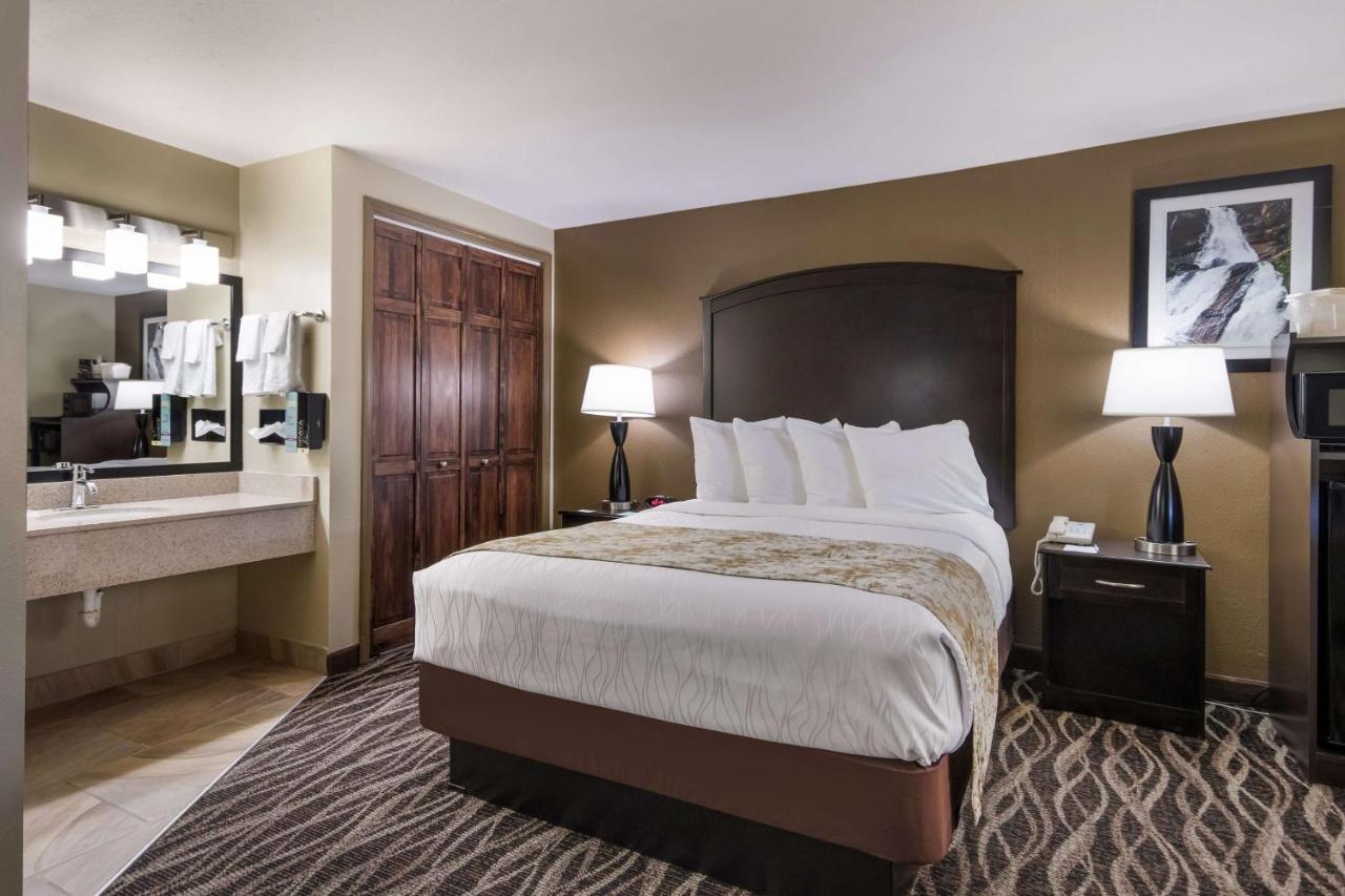 Queen Suite with Sofa Bed