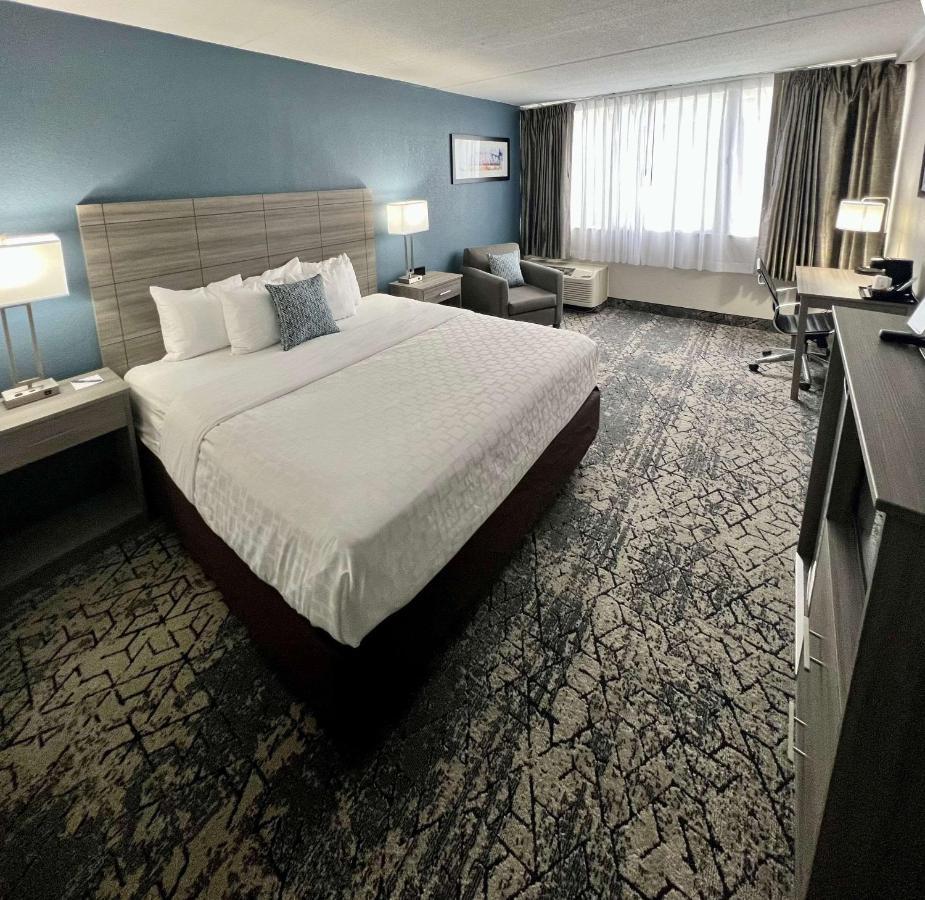 King Room - Non-Smoking