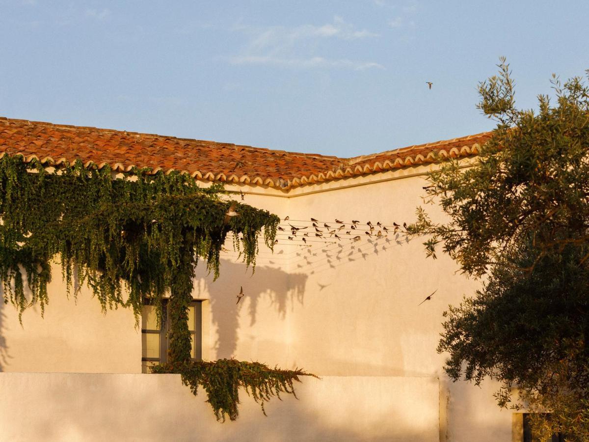 Twin or Double Room Courtyard