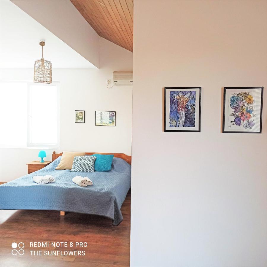 Studio with Terrace