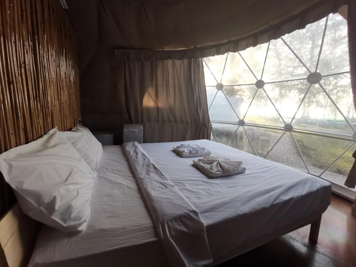 ECO Dome