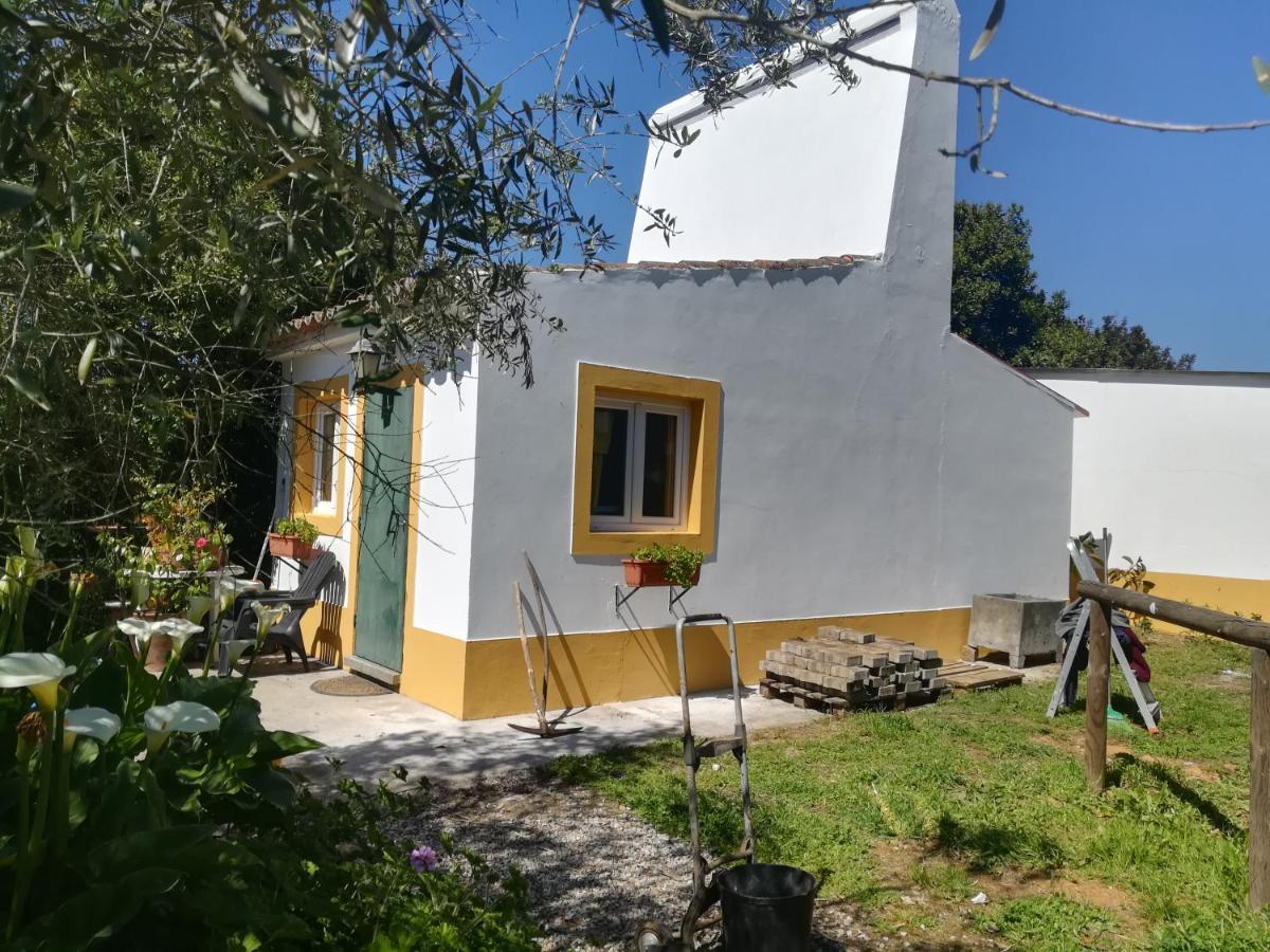 Studio Garden View,1381659884:JPEG