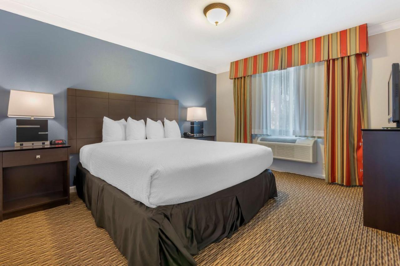 One-Bedroom King Suite