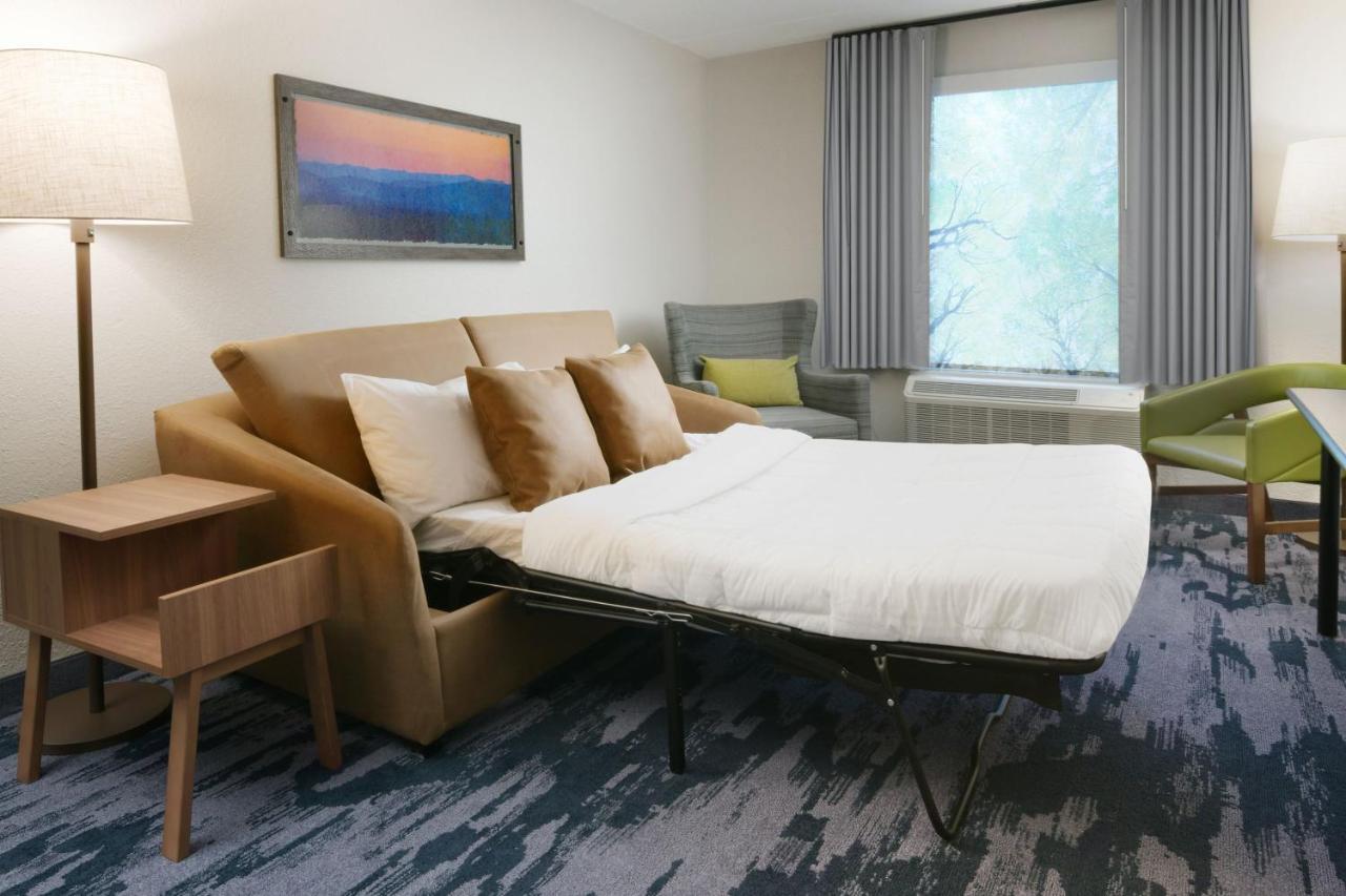Studio Suite, 1 King, Sofa bed
