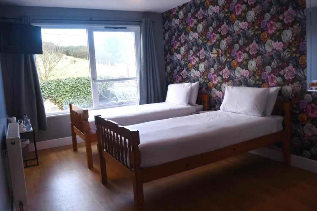 Basic Twin Room