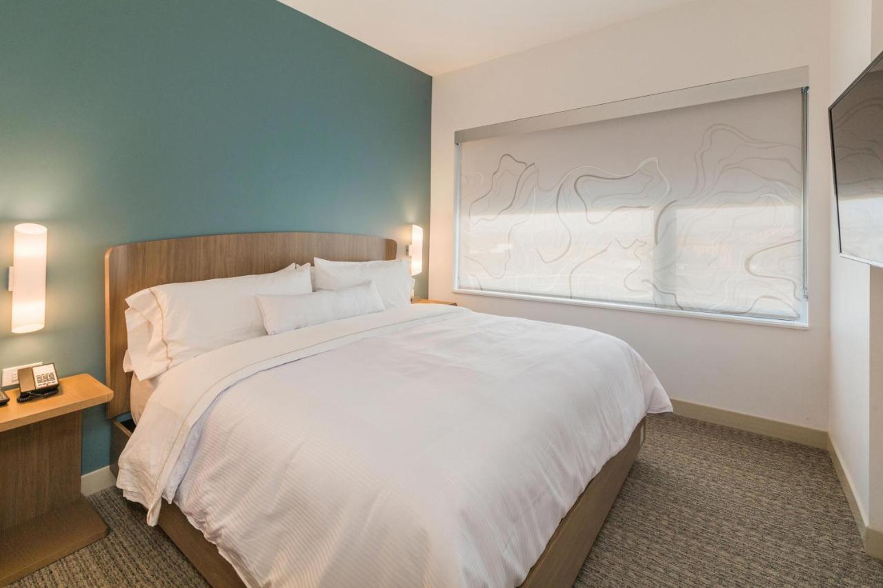 1 Bedroom Suite 1 King Sofa bed