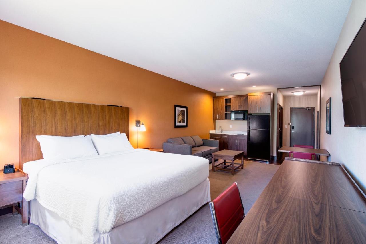 Guest room, 1 King, Sofa bed