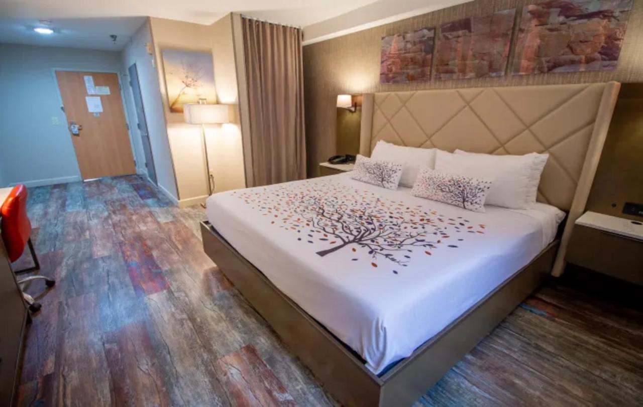 King Room King Bed