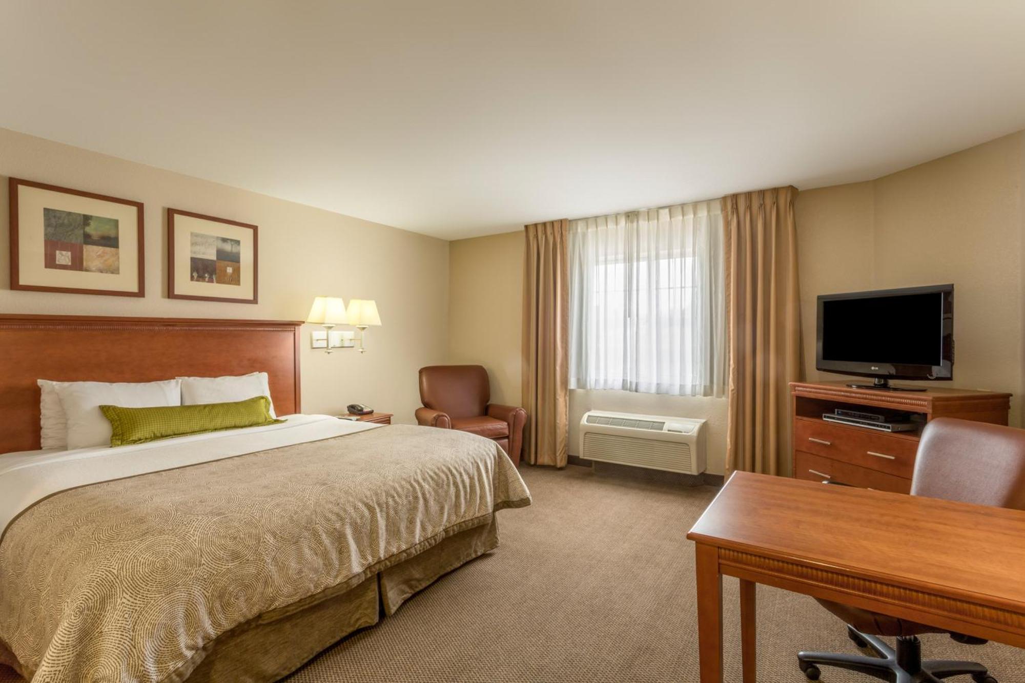King Studio Suite