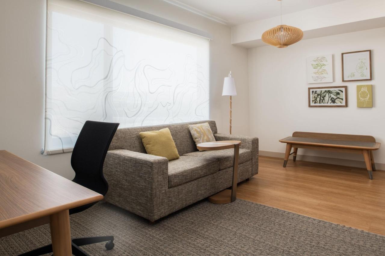Studio, 1 King, Sofa bed