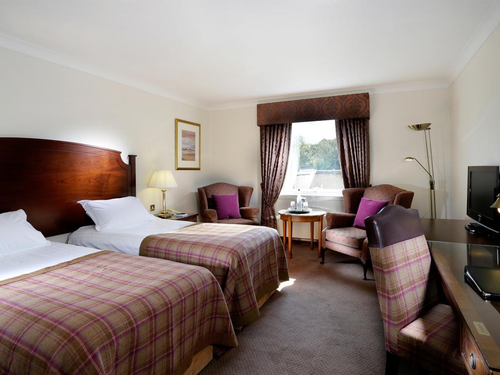 Standard King Room,296384760:JPEG