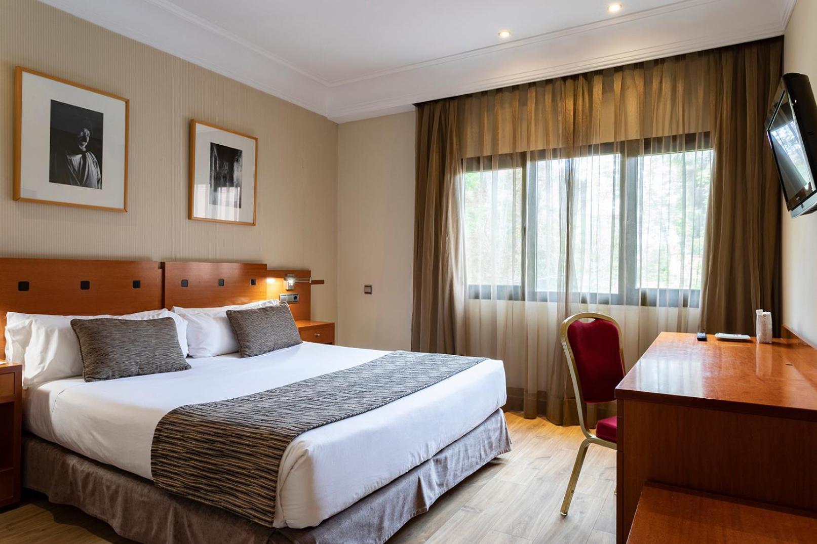 Double or Twin Room