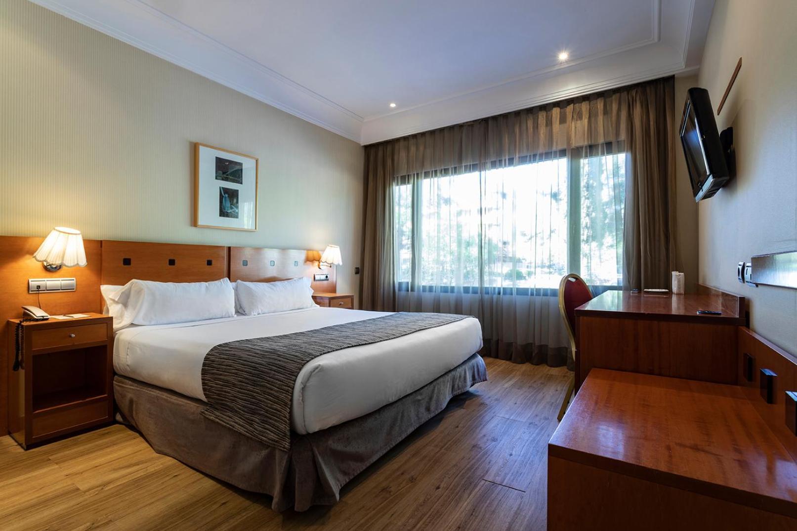 Double or Twin Room