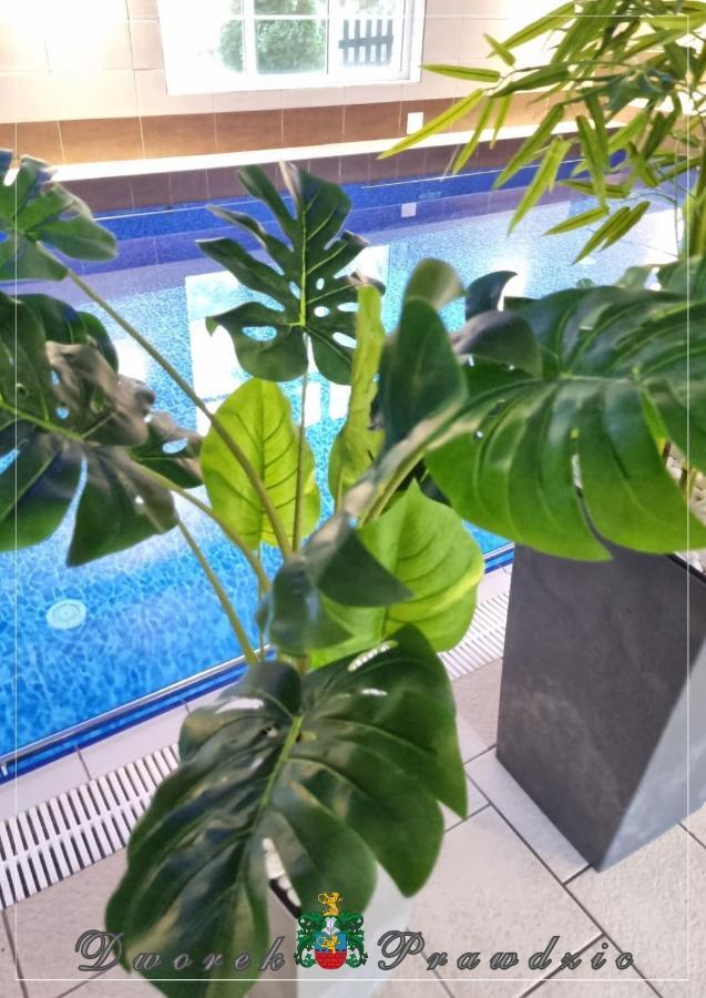 Doppelzimmer mit Balkon