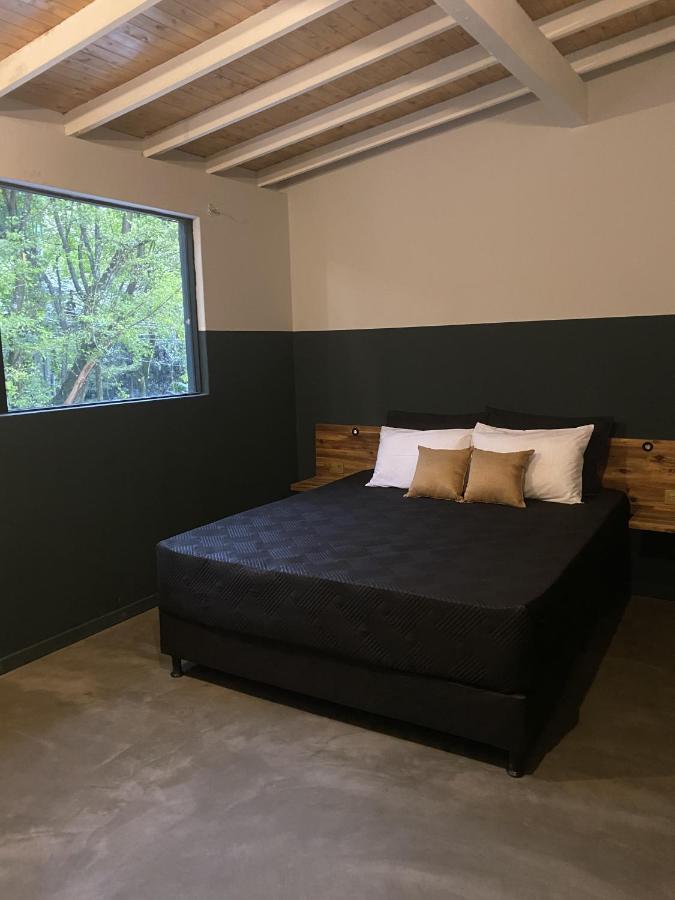 Habitación Estándar con cama grande y baño privado