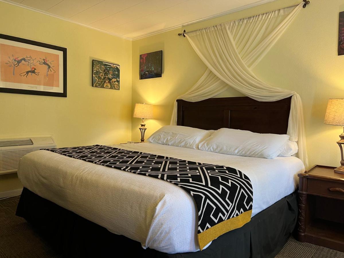 Deluxe King Suite