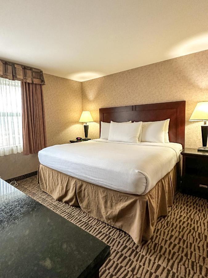Deluxe King Suite