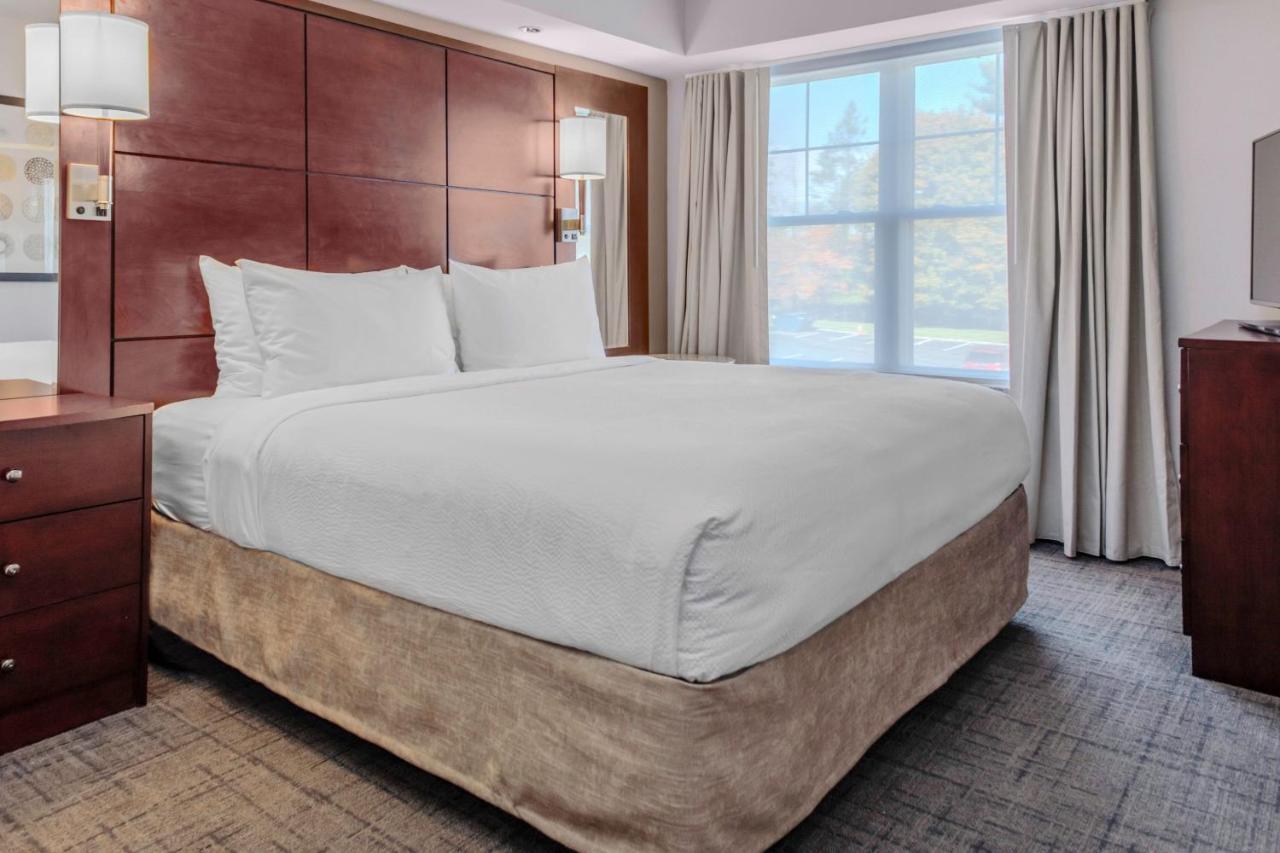 One-Bedroom King Suite Sofa Bed,1499108551:JPEG