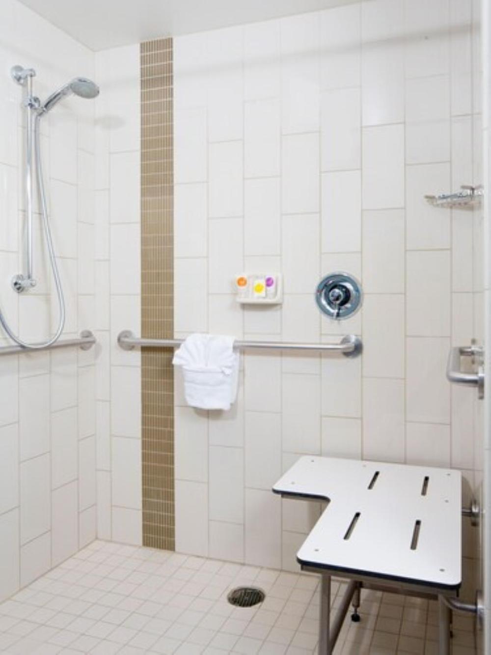 King Room Sofa Bed Accessible Tub Disability Access