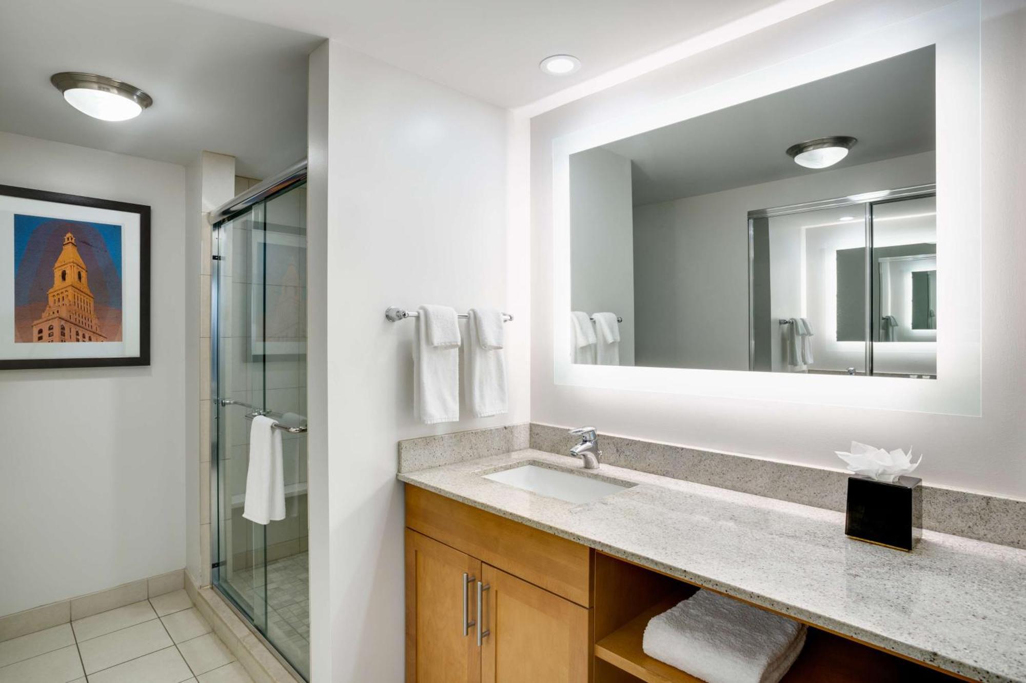 One-Bedroom King Suite