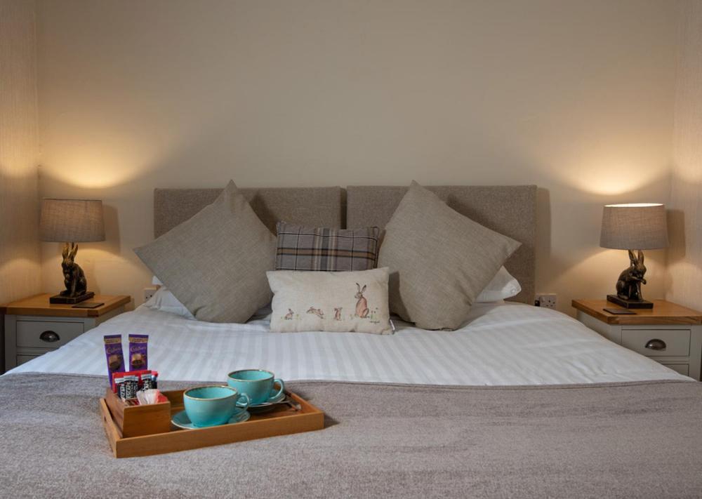 Double or Twin Room (No Pets Allowed)