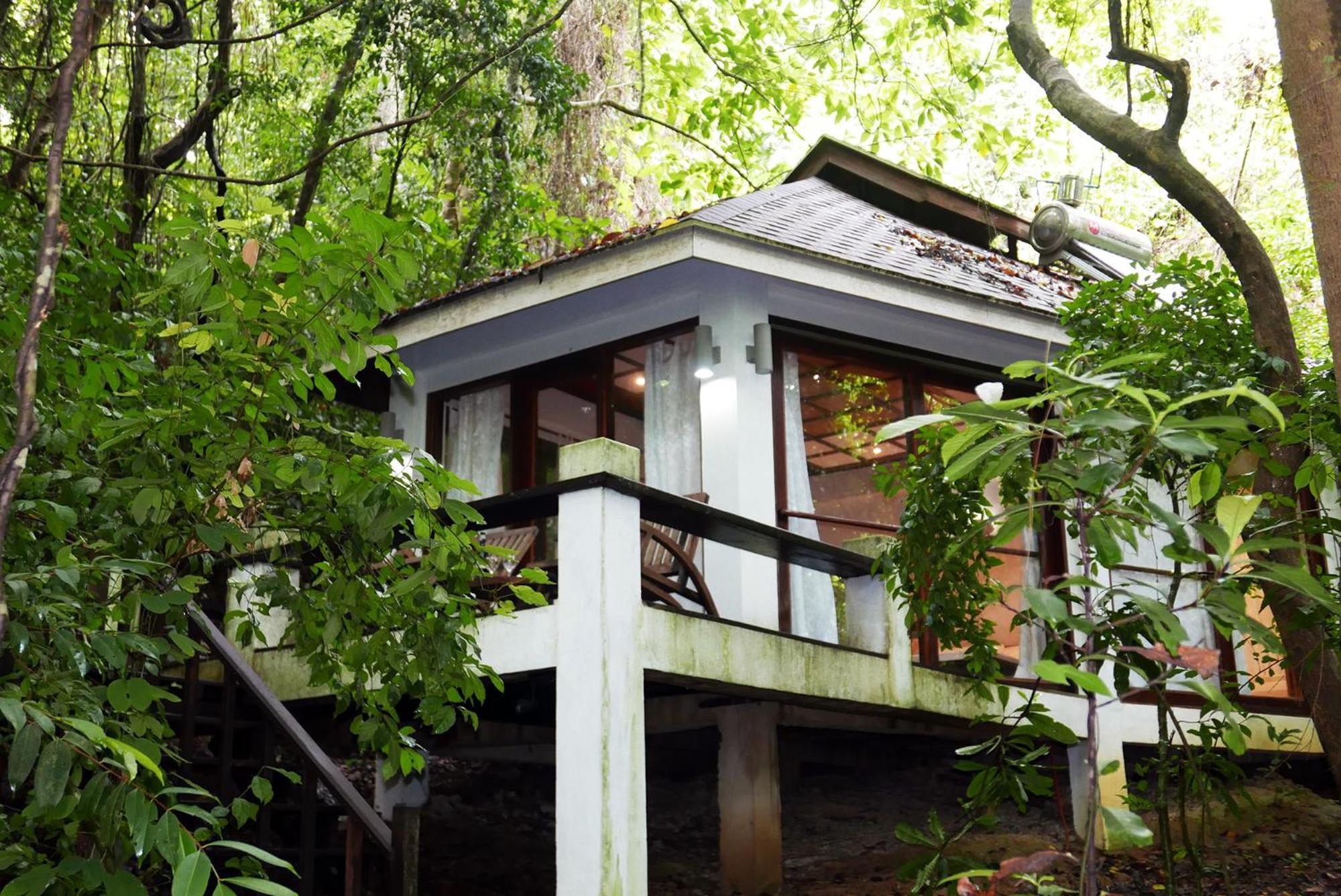 Jungle Cottage