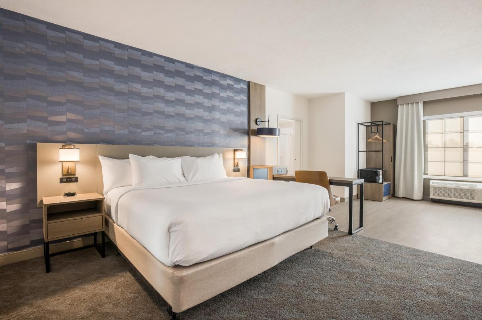 King Suite Sofabed Accessible or Non Smoking or No Pets Allowed