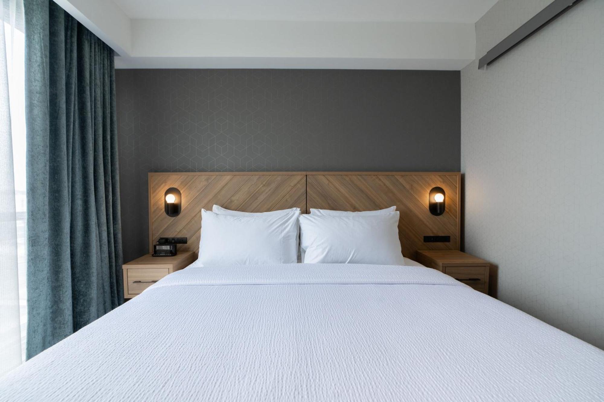 Standard Suite, 1 King Bed, Sofa Bed, Kitchen
