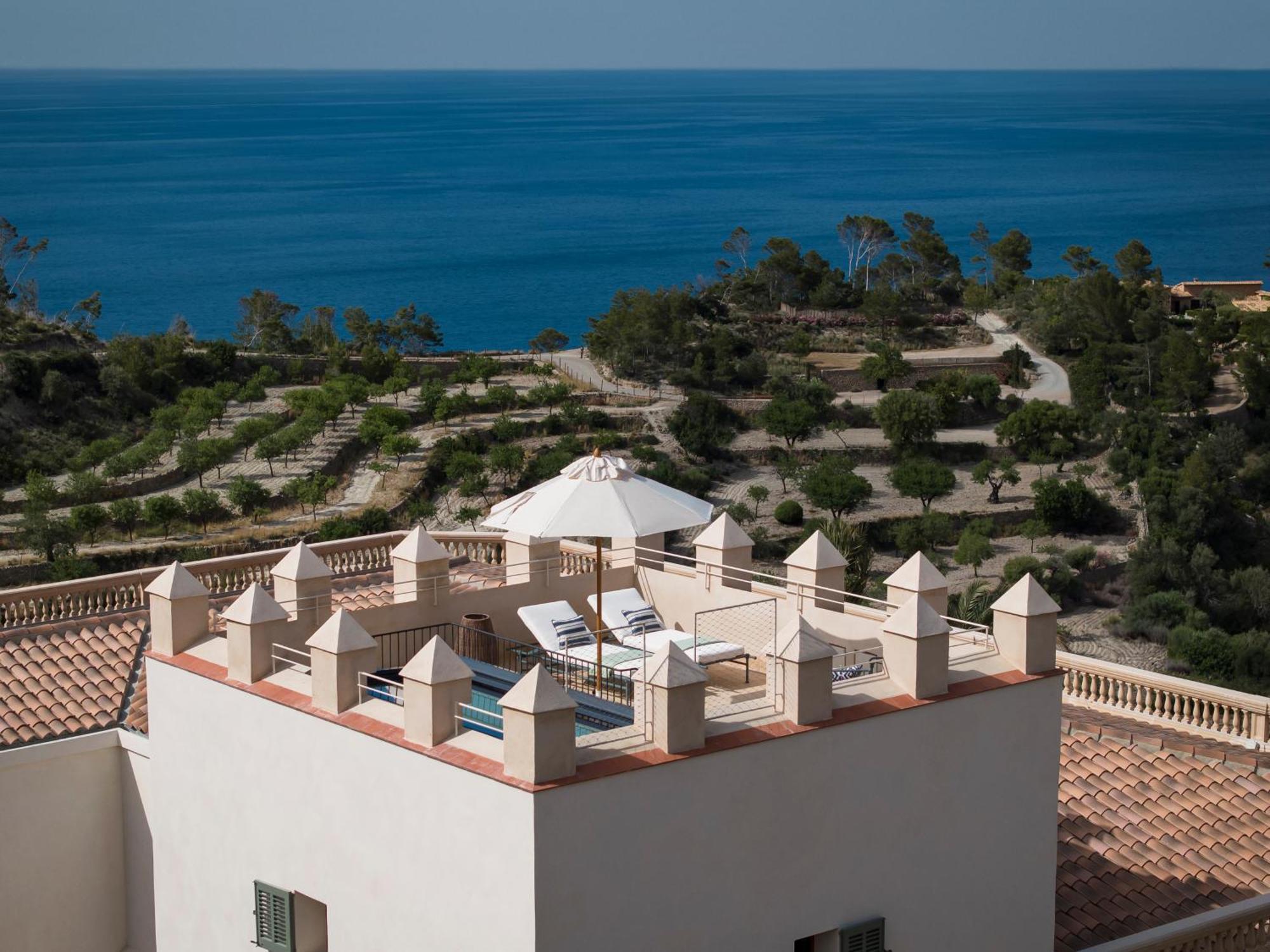 Suite Terrace