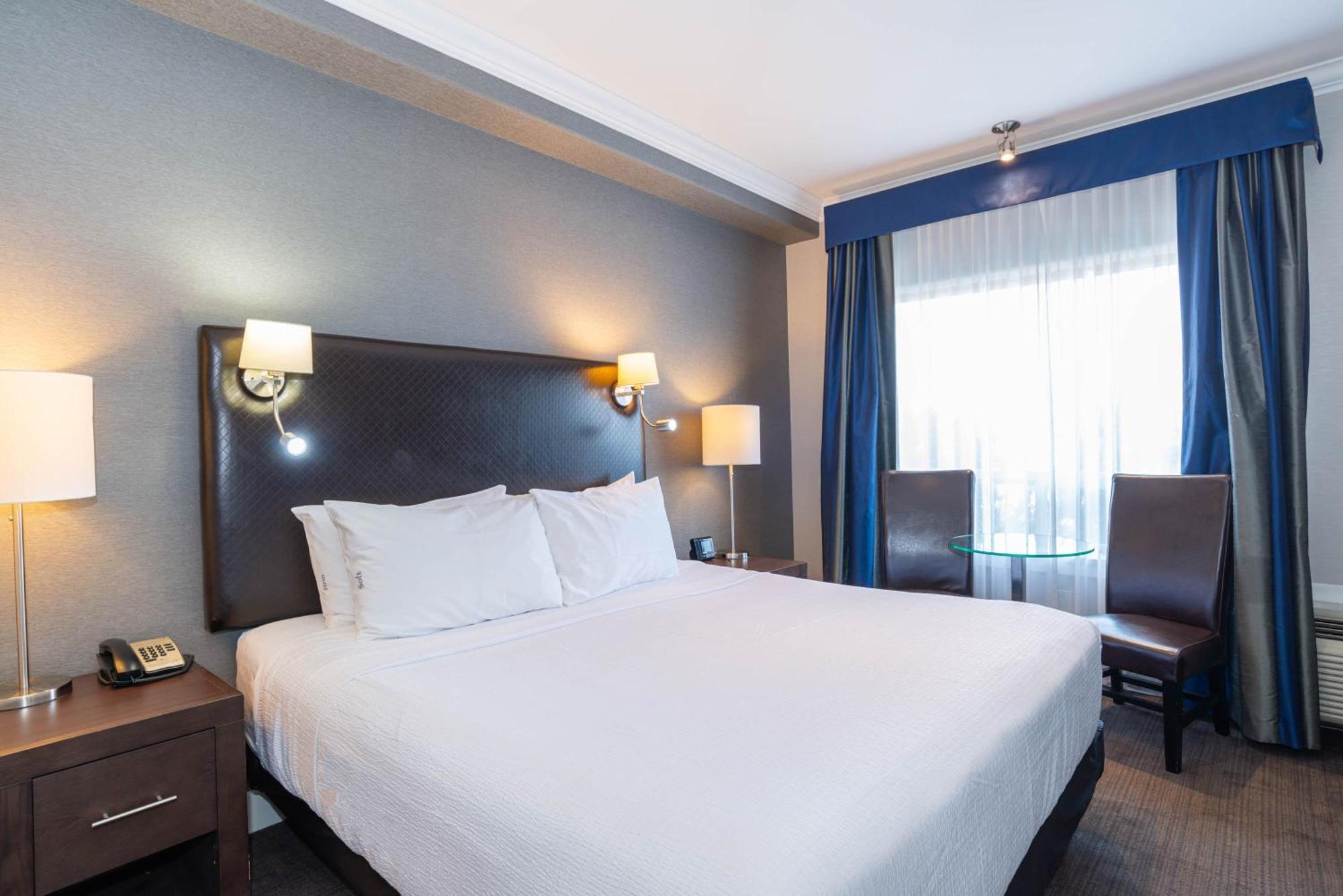 Standard Suite 1 King Bed Kitchenette