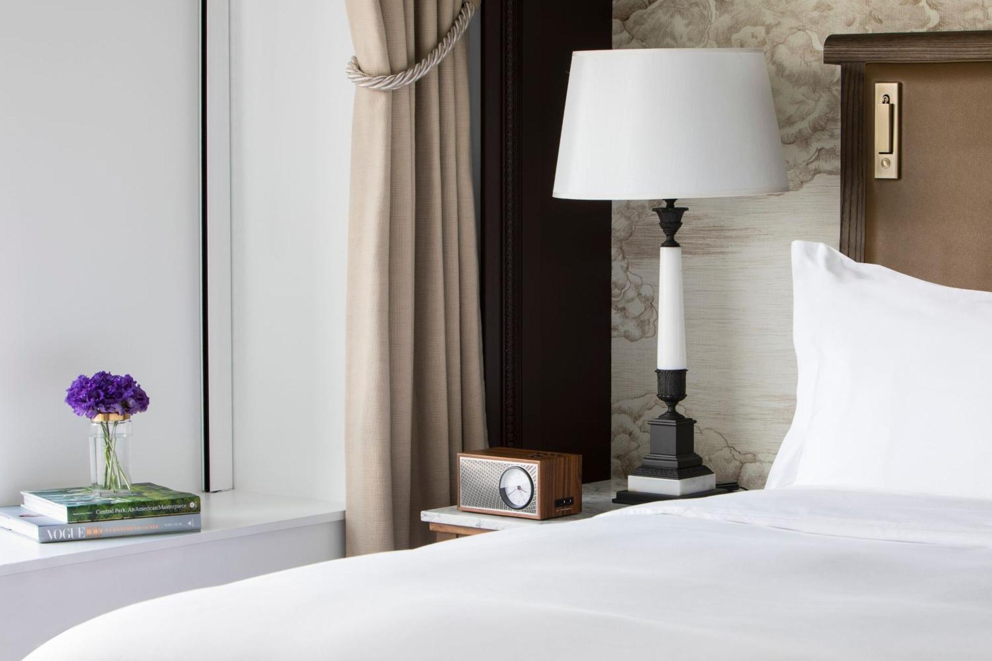 Camera con 1 Letto King-Size e Vista Parco