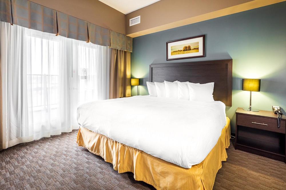 Efficiency King Suite with Sofa Bed - Non Smoking
