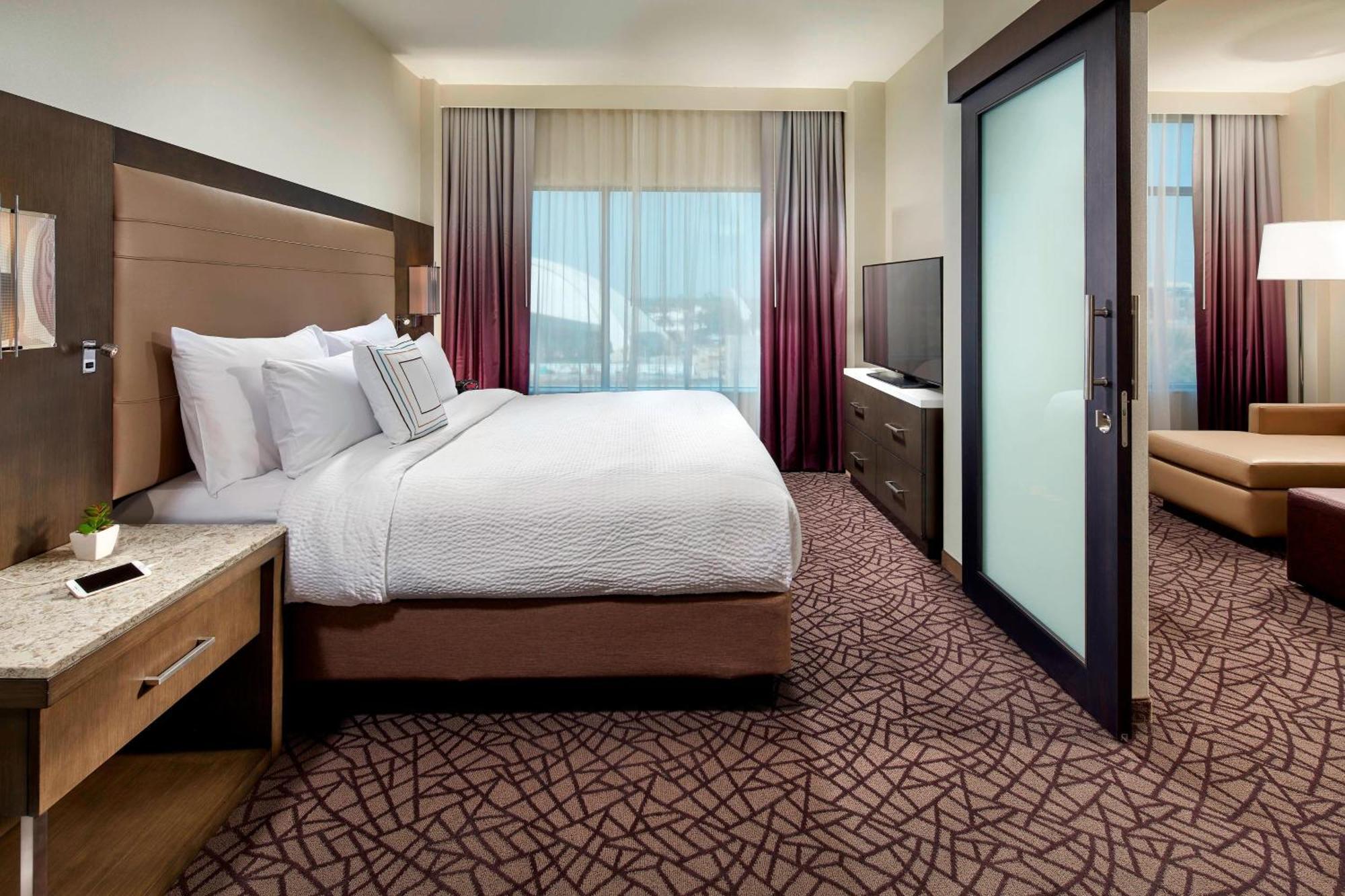 One Bedroom 1 King City View Suite Sofa Bed