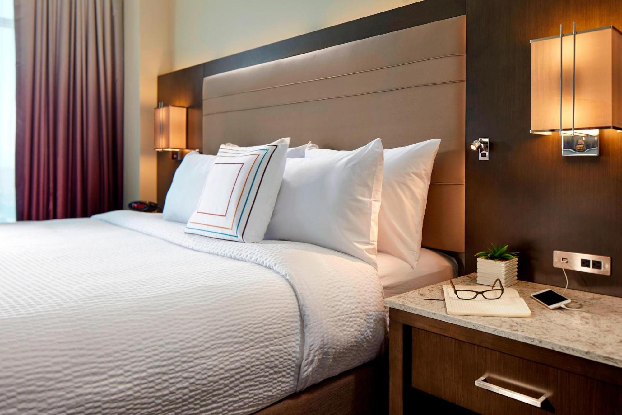 One Bedroom 1 King City View Suite Sofa Bed