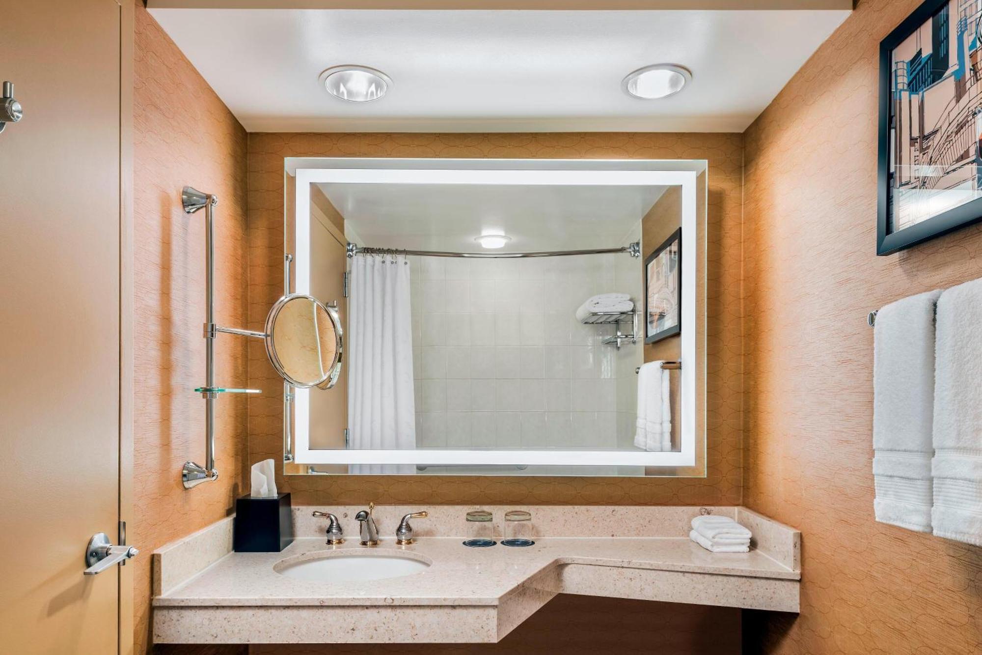 Traditional, Guest room, 1 King