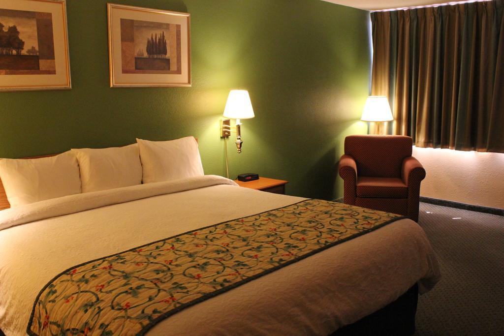 King Room- Non-Smoking