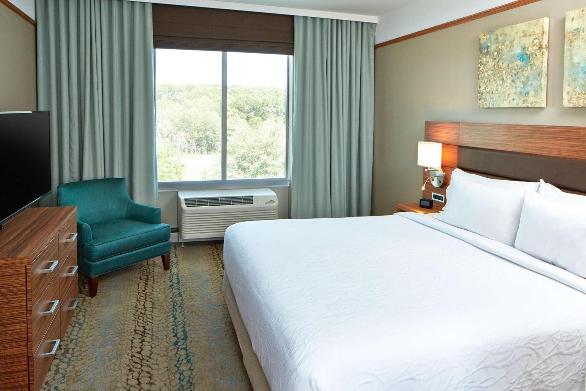 Junior King Suite with Sofa Bed