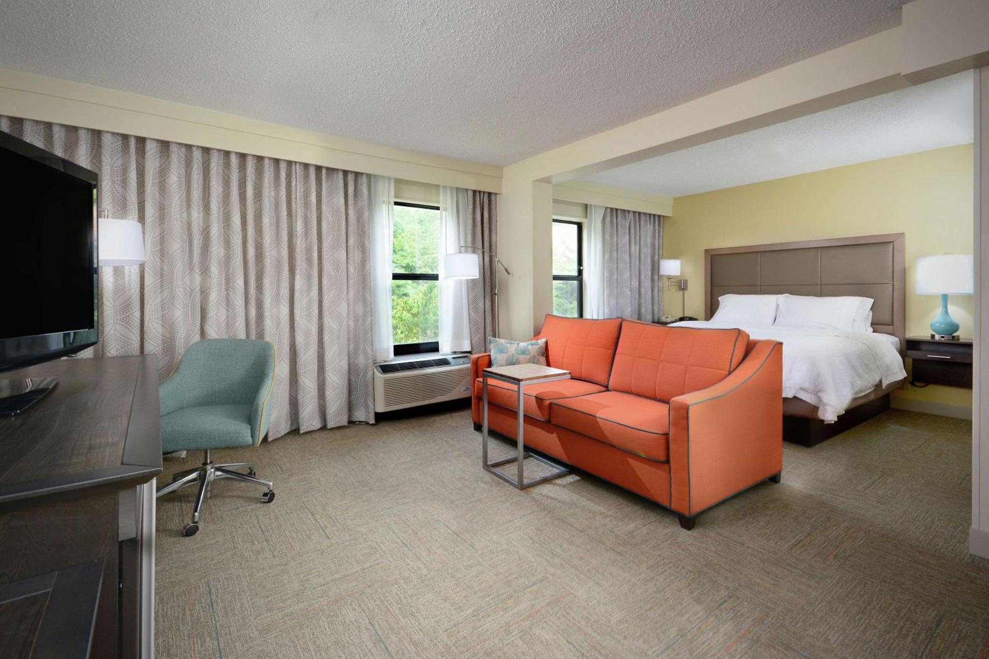 King Studio Suite Non-Smoking