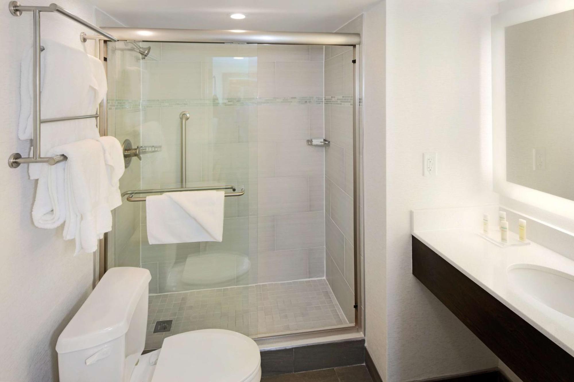 Standard One-Bedroom King Suite